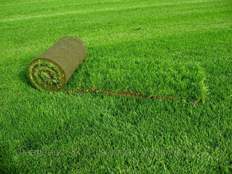 Укладка искусственного газона: полезные советы